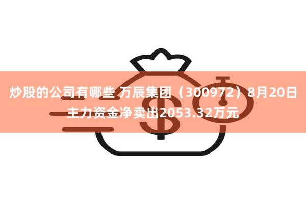 炒股的公司有哪些 万辰集团（300972）8月20日主力资金净卖出2053.32万元