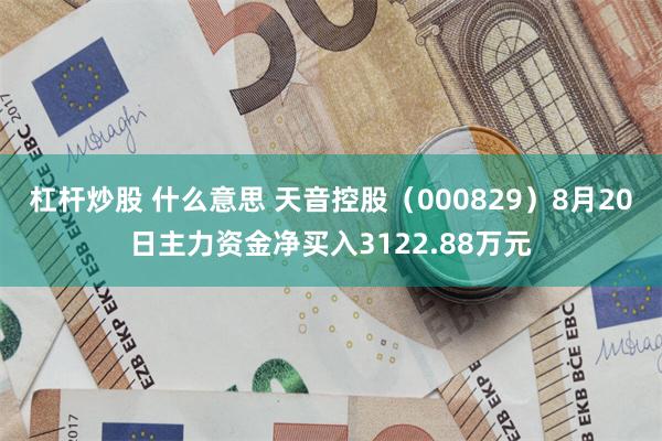 杠杆炒股 什么意思 天音控股（000829）8月20日主力资金净买入3122.88万元