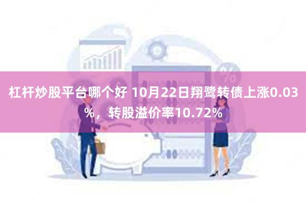 杠杆炒股平台哪个好 10月22日翔鹭转债上涨0.03%，转股溢价率10.72%