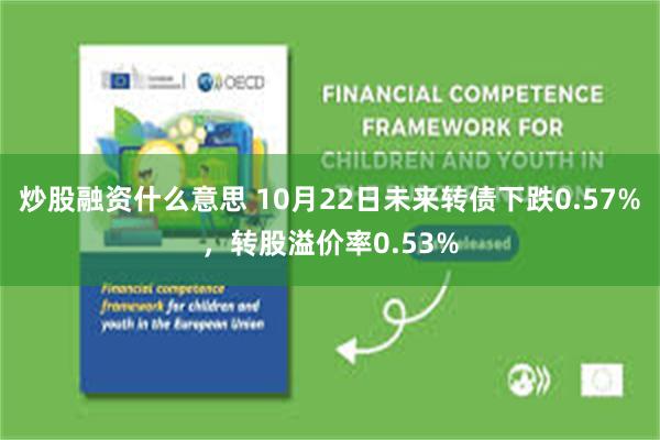 炒股融资什么意思 10月22日未来转债下跌0.57%，转股溢价率0.53%