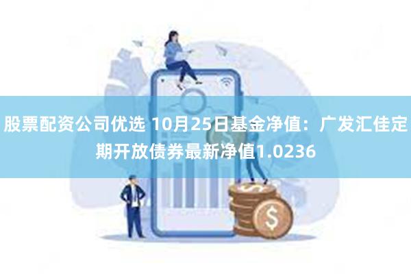 股票配资公司优选 10月25日基金净值：广发汇佳定期开放债券最新净值1.0236