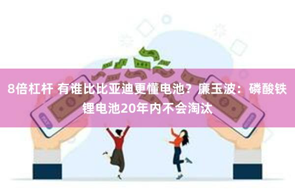 8倍杠杆 有谁比比亚迪更懂电池？廉玉波：磷酸铁锂电池20年内不会淘汰