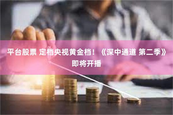 平台股票 定档央视黄金档！《深中通道 第二季》即将开播