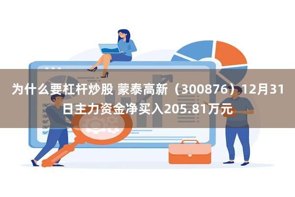 为什么要杠杆炒股 蒙泰高新（300876）12月31日主力资金净买入205.81万元