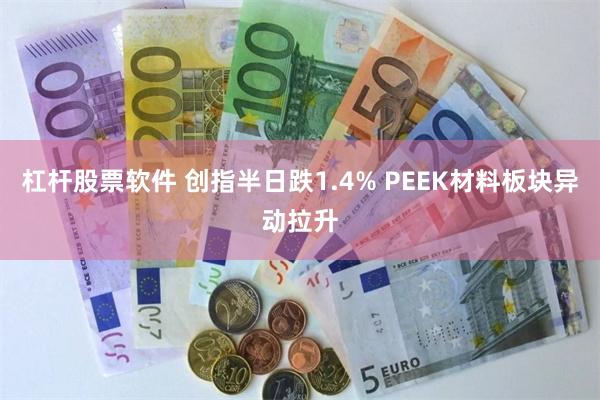 杠杆股票软件 创指半日跌1.4% PEEK材料板块异动拉升