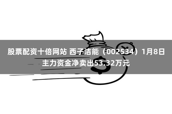 股票配资十倍网站 西子洁能（002534）1月8日主力资金净卖出53.32万元