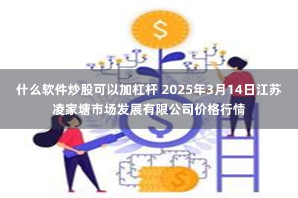 什么软件炒股可以加杠杆 2025年3月14日江苏凌家塘市场发展有限公司价格行情